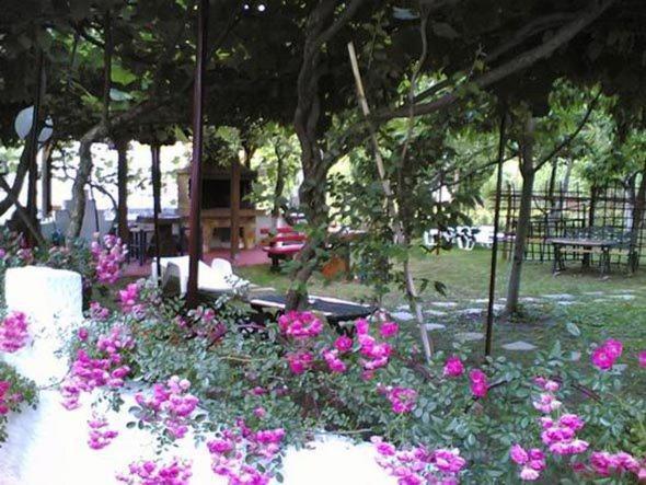 Helena Apartments ปาราเลีย ปันตาเลโมนอส ภายนอก รูปภาพ