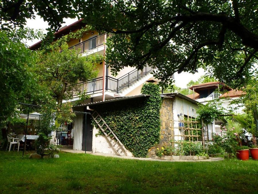 Helena Apartments ปาราเลีย ปันตาเลโมนอส ภายนอก รูปภาพ